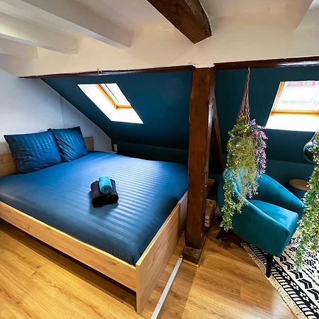 Au Duplex De Jeannala Apartment Selestat Luaran gambar