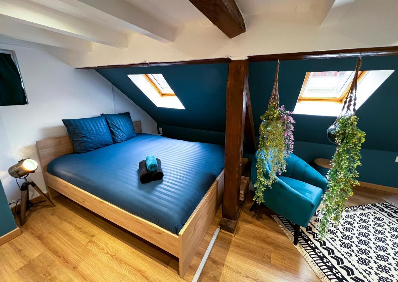 Au Duplex De Jeannala Apartment Selestat Luaran gambar