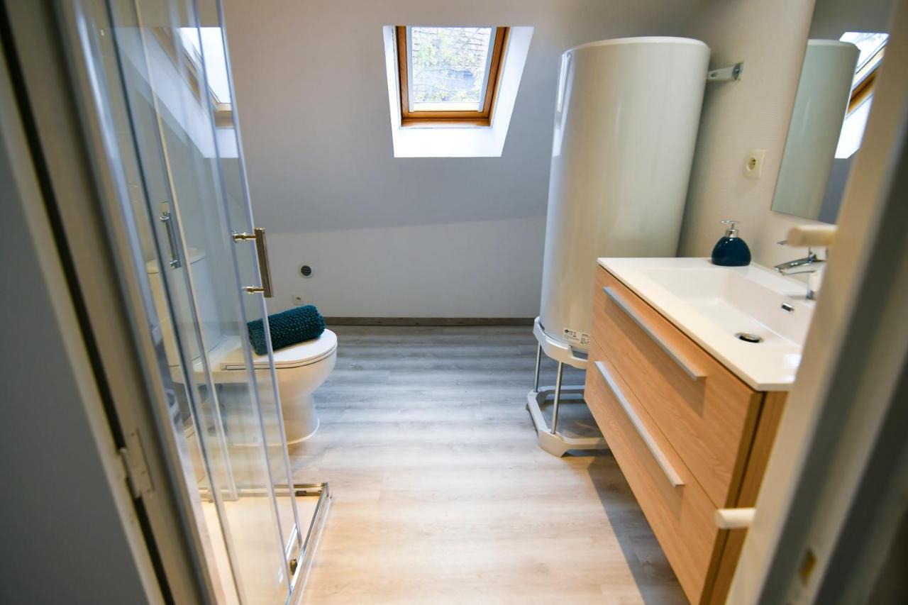 Au Duplex De Jeannala Apartment Selestat Luaran gambar